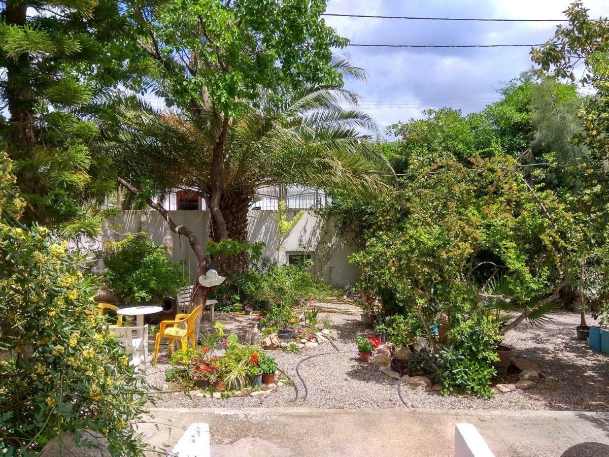 Dolphin Apartments Faliraki Ngoại thất bức ảnh